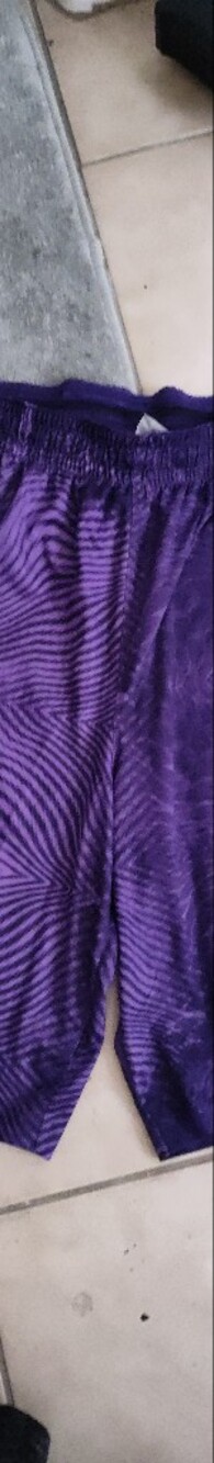 Nike Dri-FIT Purple Athletic Shorts with White Interior